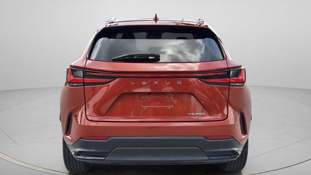 2024 Lexus NX 250 Base