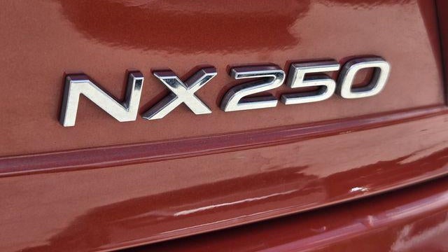 2024 Lexus NX 250 Base