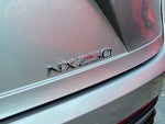 2024 NX 250 Thumbnail 6