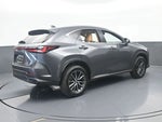 2024 NX 250 Thumbnail 6
