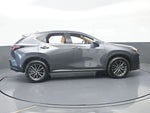 2024 NX 250 Thumbnail 7