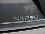 2024 NX 250 Thumbnail 35