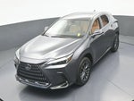 2024 NX 250 Thumbnail 45