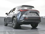 2024 NX 250 Thumbnail 57