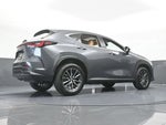 2024 NX 250 Thumbnail 59