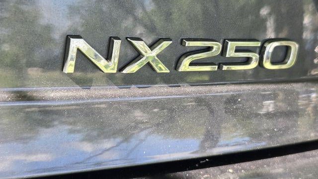 2023 Lexus NX 250 Base