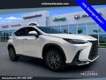 2025 NX 250 Thumbnail 1