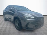2024 NX 250 Thumbnail 4