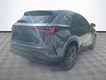 2024 NX 250 Thumbnail 6