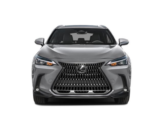 2024 Lexus NX - $33,990