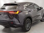 2023 NX 250 Thumbnail 3