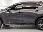 2023 NX 250 Thumbnail 5