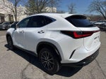 2024 NX 350 Thumbnail 17