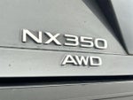 2024 NX 350 Thumbnail 13