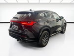 2024 NX 350 Thumbnail 4