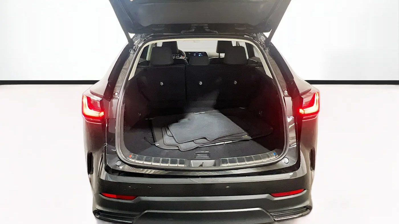 2024 Lexus NX 350 Base