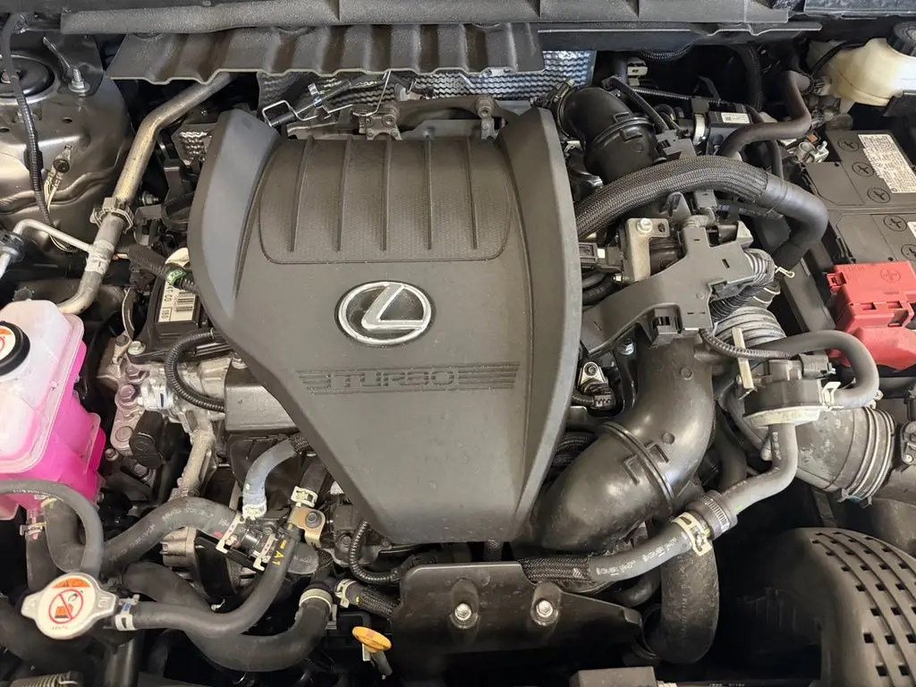 2024 Lexus NX - $38,000
