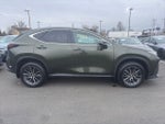 2024 NX 350 Thumbnail 2