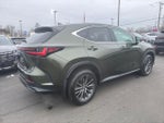 2024 NX 350 Thumbnail 3