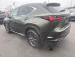 2024 NX 350 Thumbnail 5