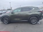 2024 NX 350 Thumbnail 6
