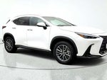 2025 NX 350h Thumbnail 5
