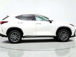 2025 NX 350h Thumbnail 6