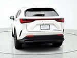 2025 NX 350h Thumbnail 8