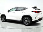 2025 NX 350h Thumbnail 9