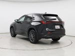 2024 NX 350h Thumbnail 2