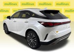 2023 RX 350 Thumbnail 12