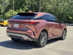 2023 RX 350 Thumbnail 22