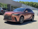 2023 RX 350 Thumbnail 25