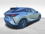 2025 RX 350 Thumbnail 24