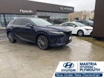 2023 RX 350 Thumbnail 1