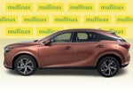 2024 RX 350 Thumbnail 13