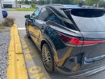 2023 RX 350 Thumbnail 2