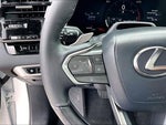2025 RX 350 Thumbnail 18