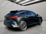 2023 RX 350 Thumbnail 13