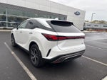 2024 RX 350 Thumbnail 19