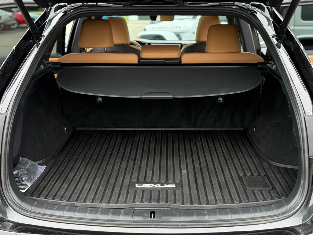 2025 Lexus RX - $45,500
