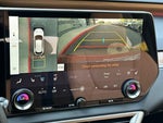 2025 RX 350 Thumbnail 19
