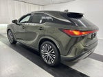 2023 RX 350 Thumbnail 7