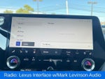 2024 RX 350 Thumbnail 19