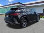 2025 RX 350 Thumbnail 21