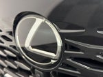 2023 RX 350 Thumbnail 15