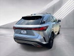 2023 RX 350 Thumbnail 34