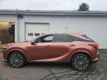 2023 RX 350 Thumbnail 9