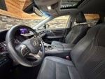 2019 RX 350 Thumbnail 13