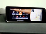 2019 RX 350 Thumbnail 20